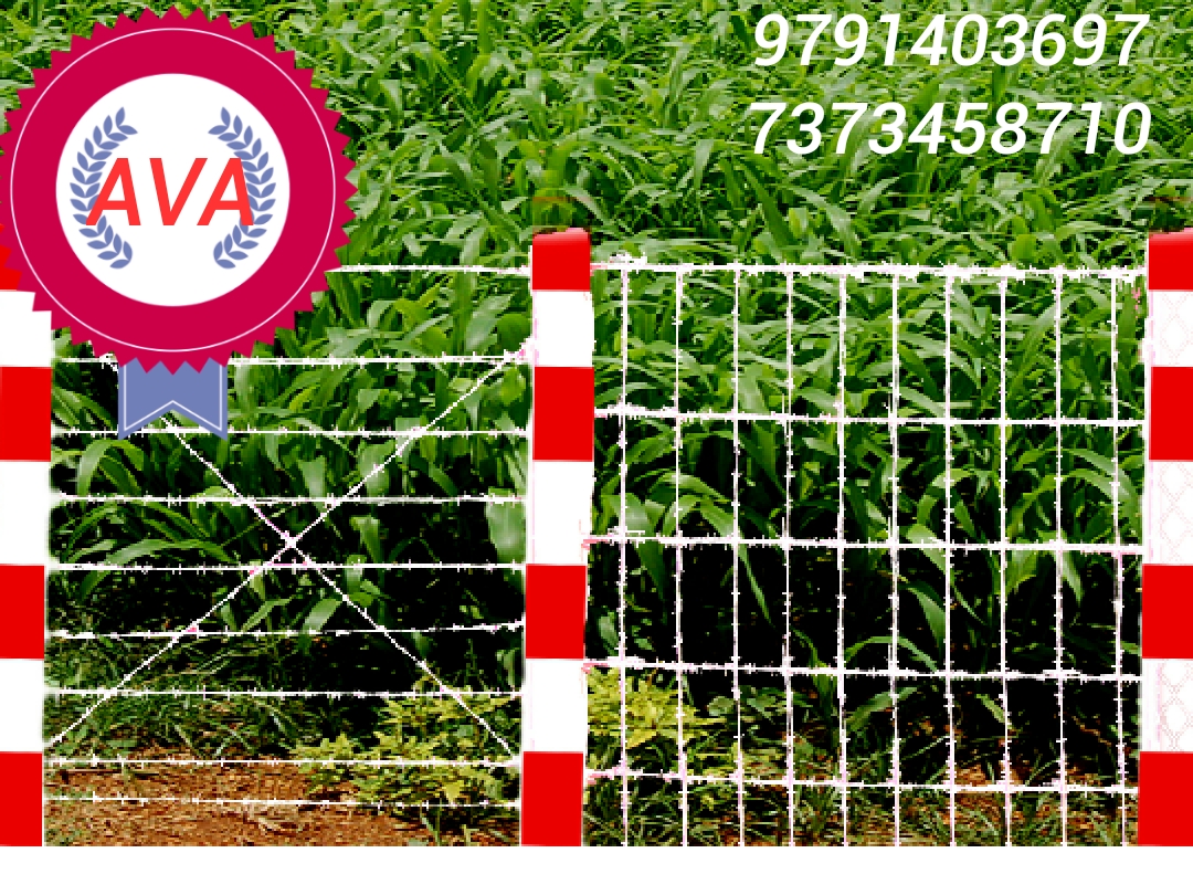 Fencing Contractors in Chennai Tamil Nadu AVA Fencing Contractor